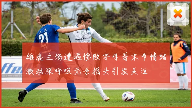 雄鹿主场遭遇惨败字母哥末节情绪激动深呼吸无奈摇头引发关注