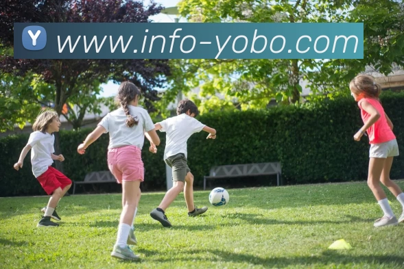 App Interface Preview